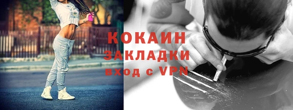 шишки Богданович