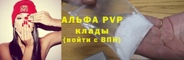 шишки Богданович