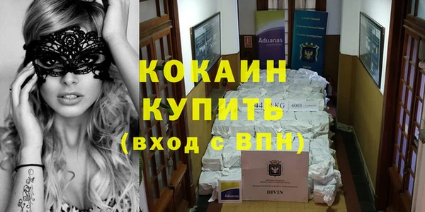 шишки Богданович