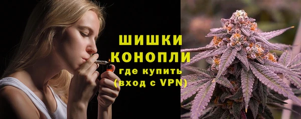 шишки Богданович