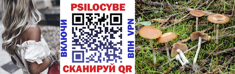магазин продажи   Торжок  Галлюциногенные грибы мицелий 